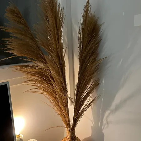 Apartament Terrasse Vue - 6 Pers, 3 Et Parking A St Tropez