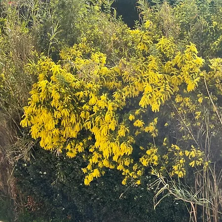 아파트 Terrasse Vue - 6 Pers, 3 Et Parking A St Tropez *