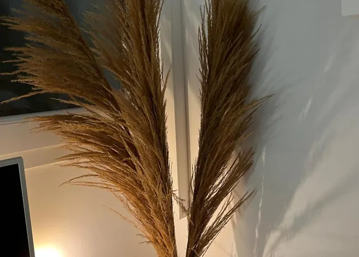 Διαμέρισμα Terrasse Vue - 6 Pers, 3 Et Parking A St Tropez