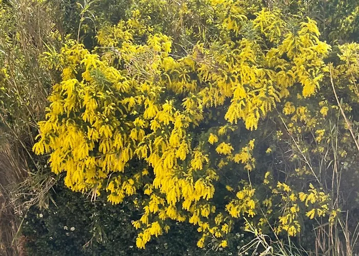 公寓 Terrasse Vue - 6 Pers, 3 Et Parking A St Tropez *